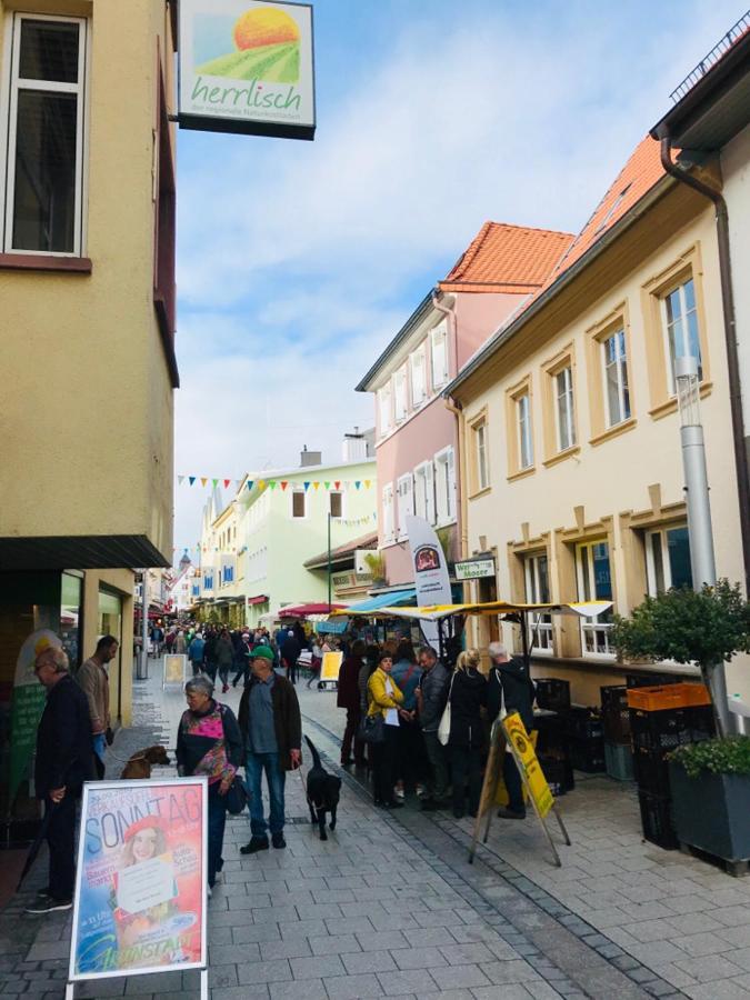 Boutique-Ferienwohnung im alten Weinhaus Moser Grünstadt Exterior foto